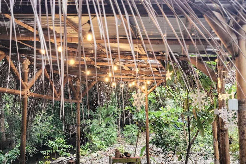 Von House * Manuel Antonio